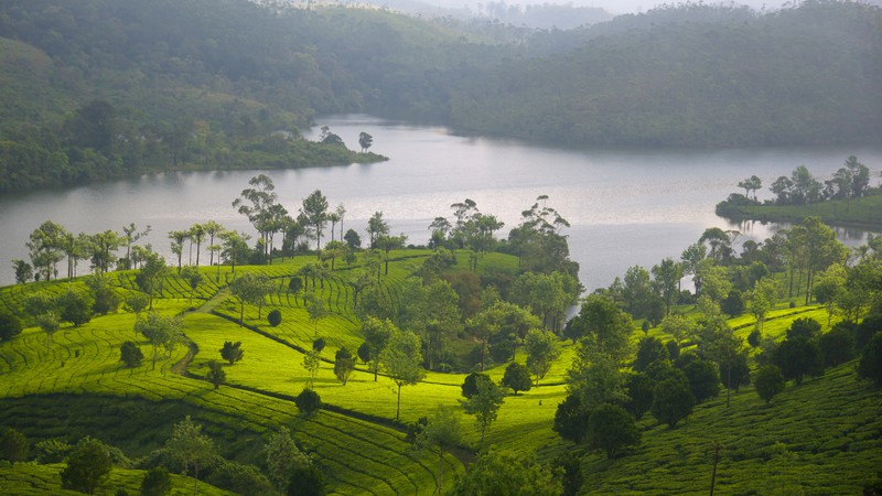 Munnar